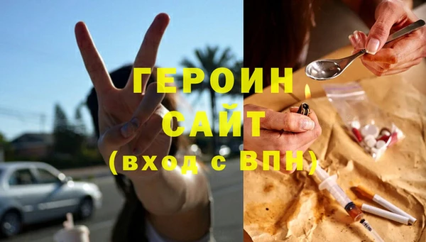гашик Ельня