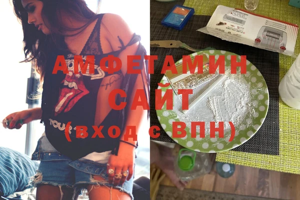 гашик Ельня