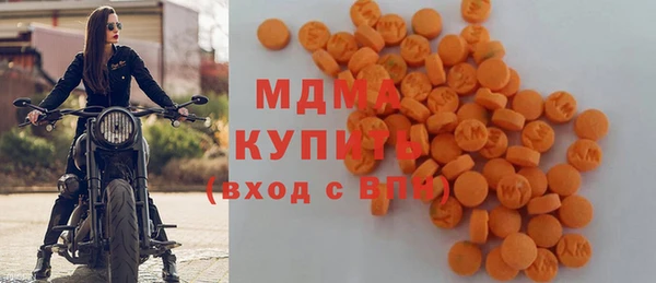 гашик Ельня