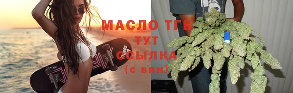 гашик Ельня