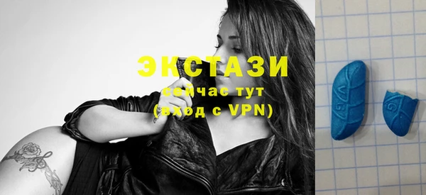 гашик Ельня