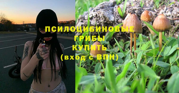 гашик Ельня