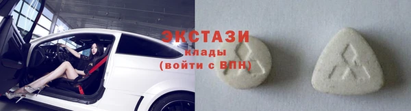 гашик Ельня