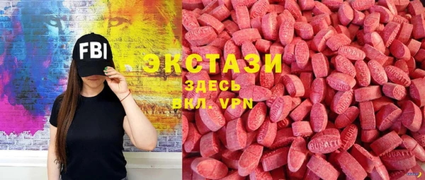 гашик Ельня