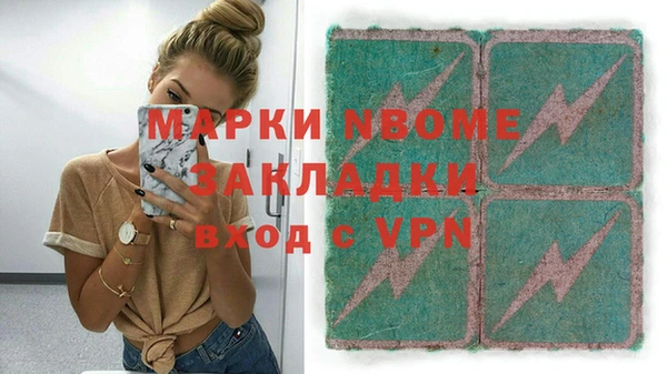 гашик Ельня