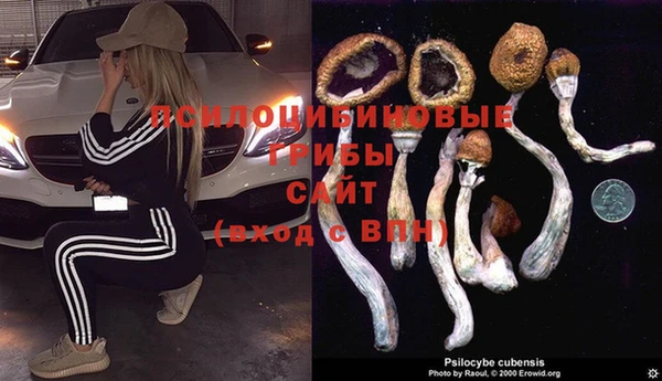 мдма Елизово