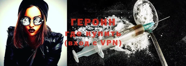 гашик Ельня