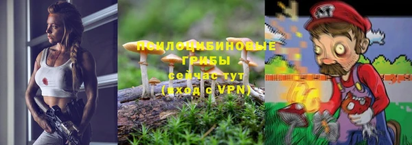 мдма Елизово