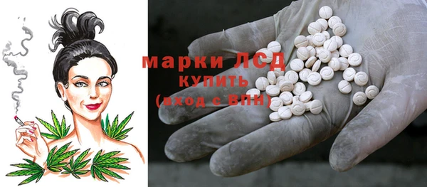 гашик Ельня